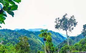 Ella Nimal Nest Inn